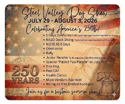 steelvalleycluster.com